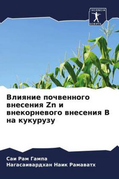 Vliqnie pochwennogo wneseniq Zn i wnekornewogo wneseniq B na kukuruzu