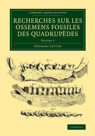 Recherches sur les ossemens fossiles des quadrupèdes - Volume             3