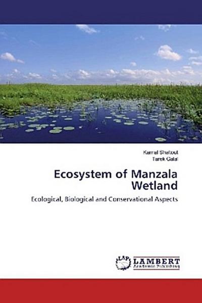 Ecosystem of Manzala Wetland