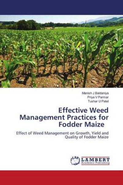 Effective Weed Management Practices for Fodder Maize