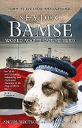 Sea Dog Bamse