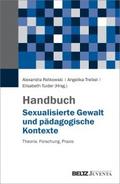 Handbuch Sexualisierte Gewalt und pädagogische Kon