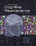 Principles of Cognitive Neuroscience