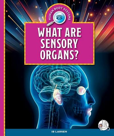 What Are Sensory Organs?