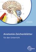 Anatomie-Zeichenblätter Arbeitsheft