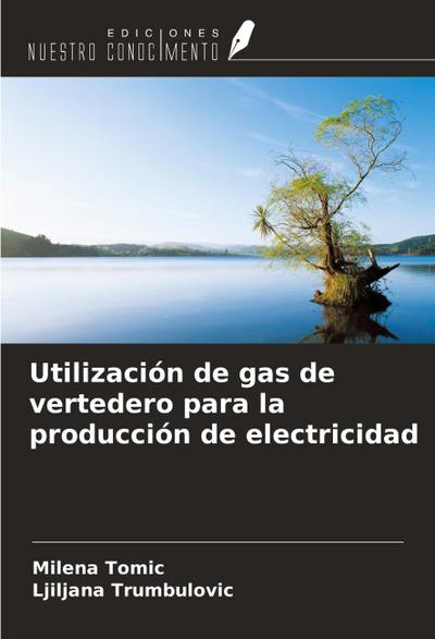 Utilización de gas de vertedero para la producción de electricidad