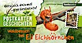 Waldbesuch bei Eli Eichhörnchen