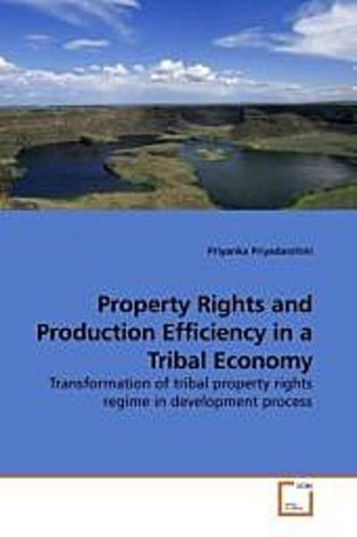 Property Rights and Production Efficiency in a Tribal Economy
