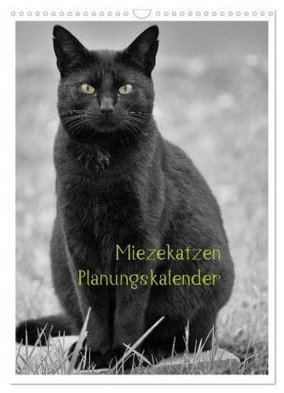 Miezekatzen Planungskalender (Wandkalender 2026 DIN A3 hoch), CALVENDO Monatskalender