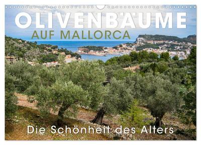Olivenbäume auf Mallorca - Die Schönheit des Alters (Wandkalender 2024 DIN A3 quer), CALVENDO Monatskalender