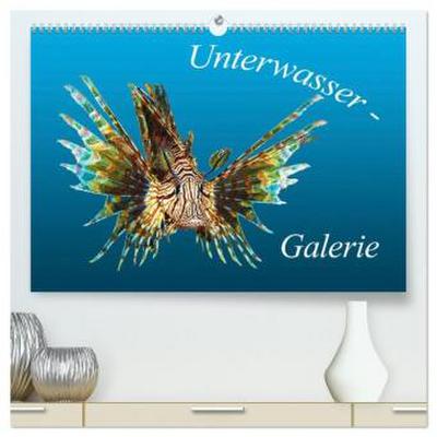 Unterwasser-Galerie (hochwertiger Premium Wandkalender 2026 DIN A2 quer), Kunstdruck in Hochglanz