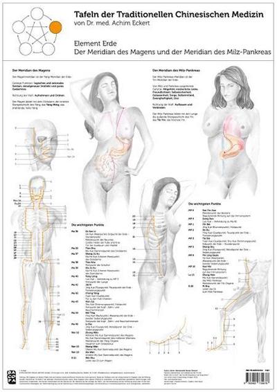 Tao Training Meridiantafel Erde Element