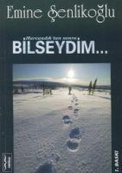 Harcandiktan Sonra Bilseydim