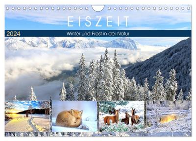 Eiszeit. Winter und Frost in der Natur (Wandkalender 2024 DIN A4 quer), CALVENDO Monatskalender
