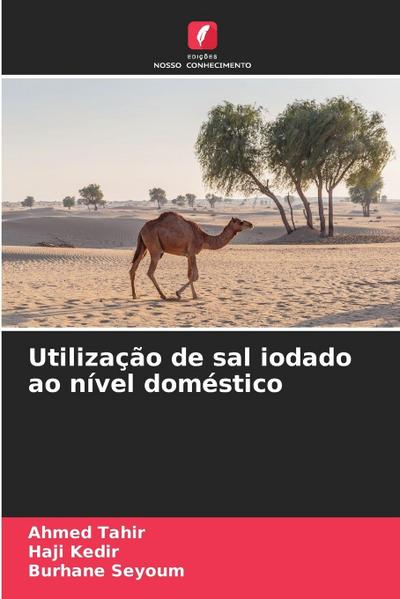 Utilização de sal iodado ao nível doméstico
