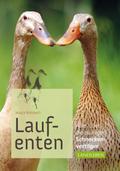 Laufenten
