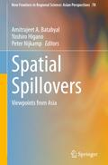 Spatial Spillovers