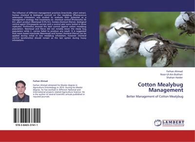 Cotton Mealybug Management