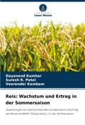 Reis: Wachstum und Ertrag in der Sommersaison