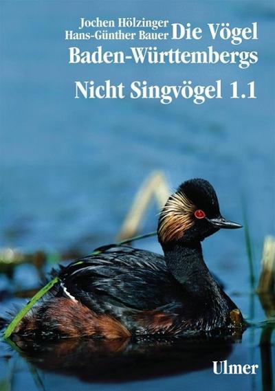 Die Vögel Baden-Württembergs Band 2.0 - Nicht-Singvögel1.1, Nandus bis Flamingos