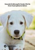 Gesunde Ernährung für Hunde: Wie Sie Ihren Hund optimal ernähren