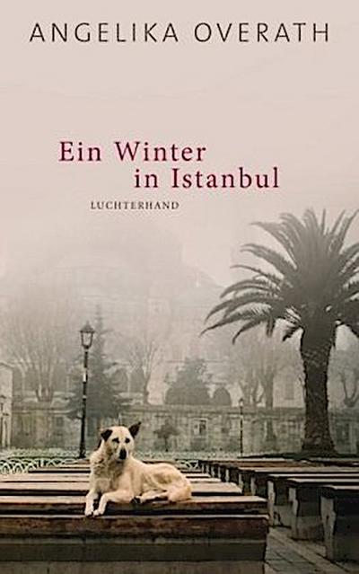 Ein Winter in Istanbul