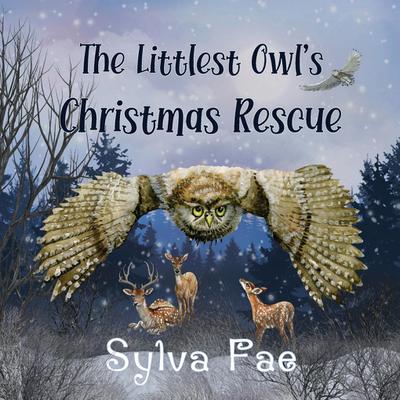 The Littlest Owl’s Christmas Rescue