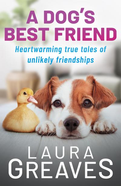 A Dog’s Best Friend