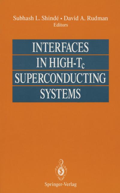 Interfaces in High-Tc Superconducting Systems