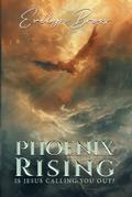 Phoenix Rising