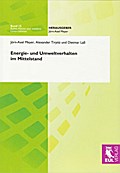 Energie- und Umweltverhalten im Mittelstand