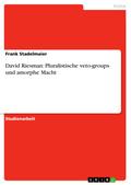 David Riesman: Pluralistische veto-groups und amorphe Macht