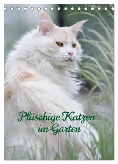 Plüschige Katzen im Garten (Tischkalender 2026 DIN A5 hoch), CALVENDO Monatskalender