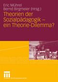 Theorien der Sozialpädagogik - ein Theorie-Dilemma?