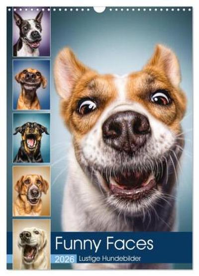 Funny Faces - Lustige Hundebilder (Wandkalender 2026 DIN A3 hoch), CALVENDO Monatskalender