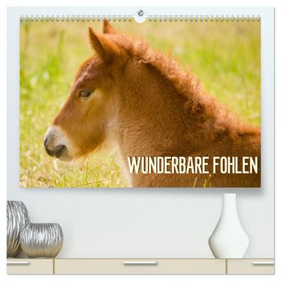 Wunderbare Fohlen (hochwertiger Premium Wandkalender 2025 DIN A2 quer), Kunstdruck in Hochglanz