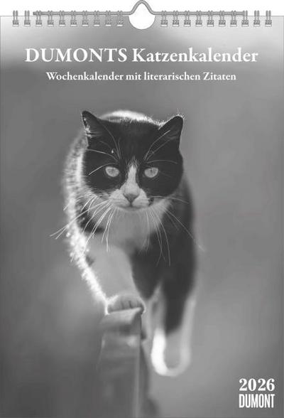 DUMONTS Katzenkalender 2026