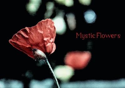 Mystic Flowers (Posterbuch DIN A2 quer)
