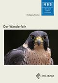 Der Wanderfalke