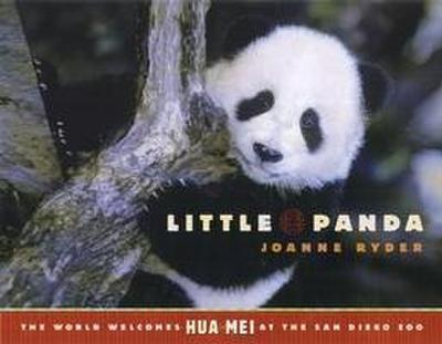 Little Panda