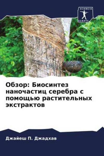 Obzor: Biosintez nanochastic serebra s pomosch’ü rastitel’nyh äxtraktow