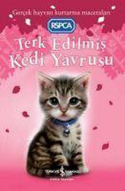 Terk Edilmis Kedi Yavrusu