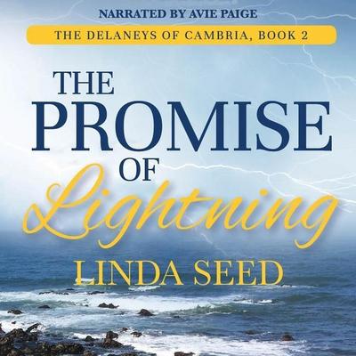 The Promise of Lightning Lib/E