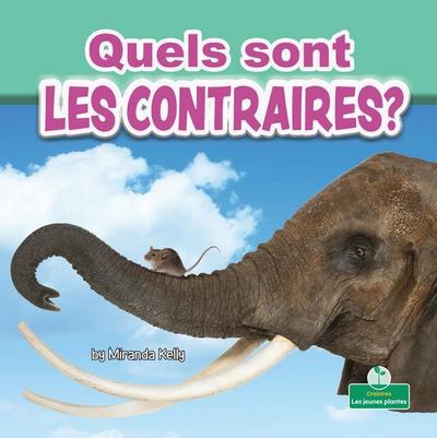 Quels Sont Les Contraires? (What Are Opposites?)