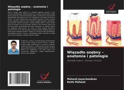 Wi¿zad¿o oz¿bny - anatomia i patologie