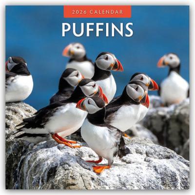 Puffins - Papageitaucher 2026 - 16-Monatskalender
