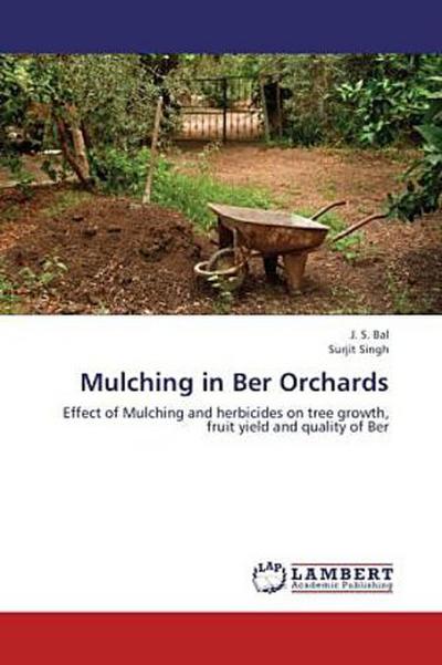Mulching in Ber Orchards