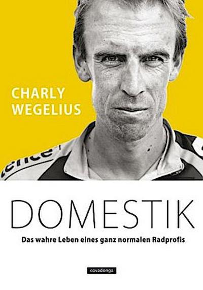 Domestik