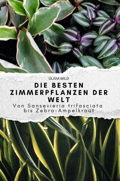 Die besten Zimmerpflanzen der Welt