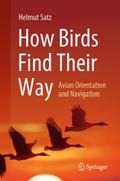 How Birds Find Their Way